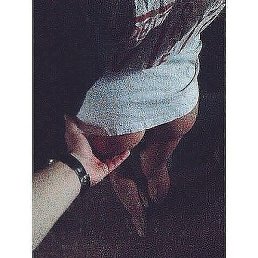 ��������, �������, 33 ����