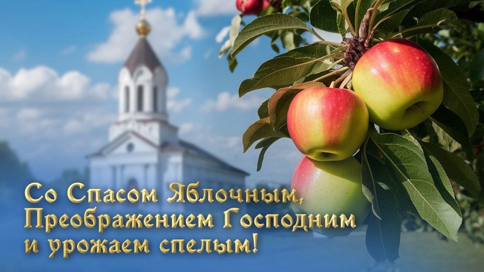 Светлана - 19 августа 2025 в 17:37