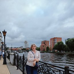 ����, �����������, 48 ���