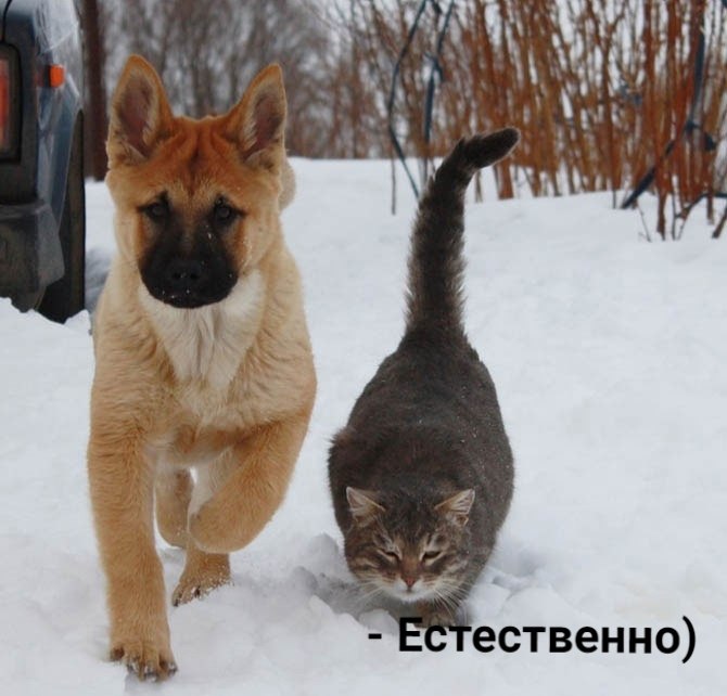       - 30  2025  12:28 - 3