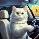 ���� ��������, ������, 42 ���� - ��������� 13 ���� 2025 � ������ ���� ����������