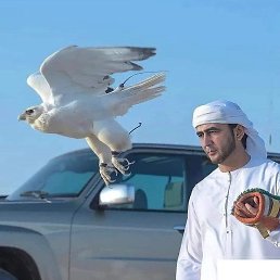 �����, ������, 48 ���