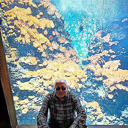 Vladimir, ���������