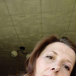 ���� �������, �������, 40 ���