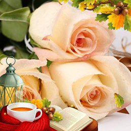 Tina, �������, 51 ���