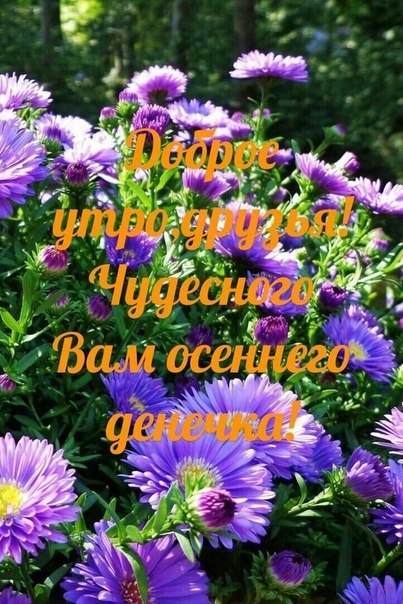   ,   , ,   -  ? ,  ,   ,  ... - 5
