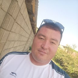 , 40, 