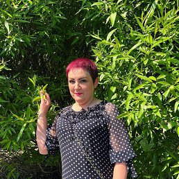 , 48, 