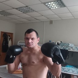 ��������, 46 ���, ������