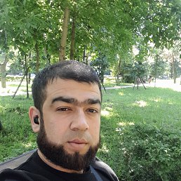 , 32,  