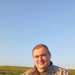, 52, 