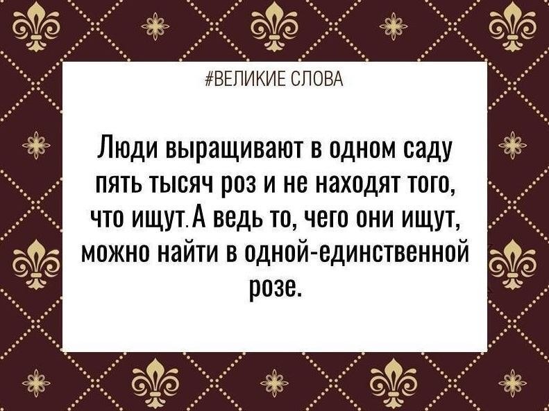 ������� ����� | ������, ����� � �������� - 29 ������ 2026 � 17:48