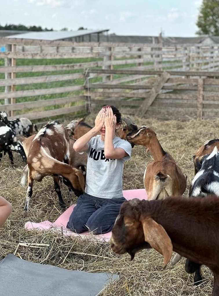 ac eea ooaa ce oop co c e c  eec o occ.a cae ... - 7