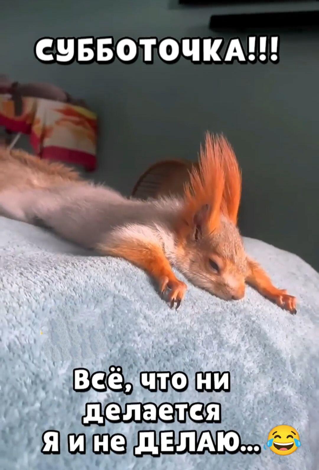 ***Victoria Viktorovna*** - 5  2025  14:44