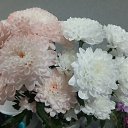 ���� ����, ������, 41 ��� - ��������� 22 ������� 2026 � ������ ���� ����������