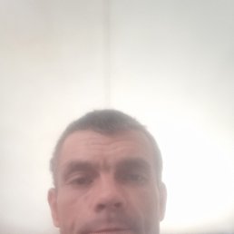 ������, 42 ����, ������