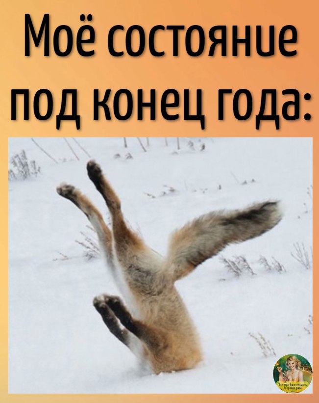 ***Victoria Viktorovna*** - 3  2023  08:13