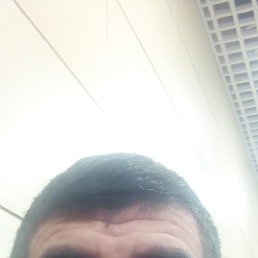 , 42, 