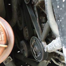 �������, ������, 44 ����