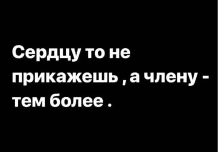   ! - 11  2025  12:44