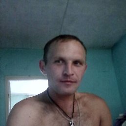 , 37 , 