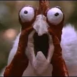 ���������, ������, 37 ���