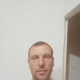 , 38, 