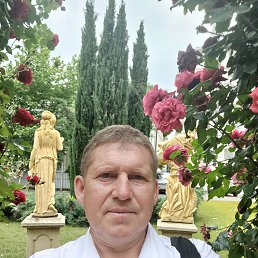 , 51 , 