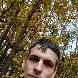 , 39, 