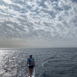 �������, ���������, 52 ����