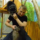 ���� �������, ������, 33 ���� - ��������� 29 ����� 2026