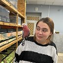 ���� �����, ���������, 21 ��� - ��������� 30 ��� 2026 � ������ ���� ����������