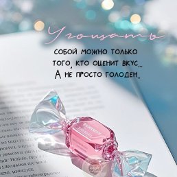 ���� ������, ������������, 41 ��� - ��������� 8 ������� 2025