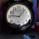  , , 43  -  15  2025    (, , )