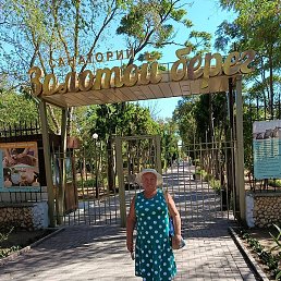 ����, ��������, 65 ���