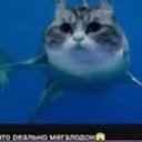 ���� ����������, �����, 18 ��� - ��������� 8 ������ 2025 � ������ ���� ����������