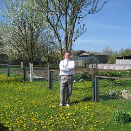 , 61, 