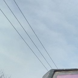 ������, ������, 48 ���