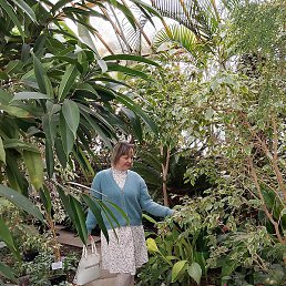 �������, ������������, 49 ���