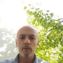 , 49, 