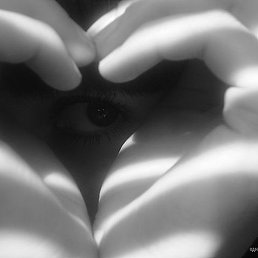 �����, �����������