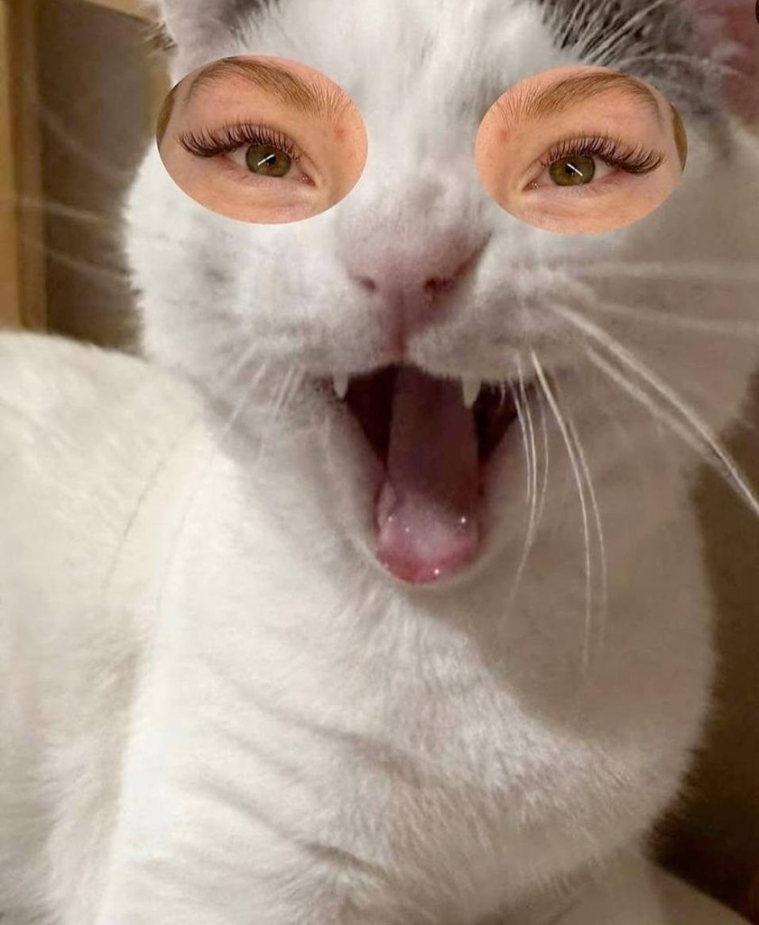 В социальных сетях разгорелся спор вокруг необычного подхода одной мастерицы по наращиванию ресниц, ... - 3