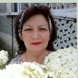 , 64, 