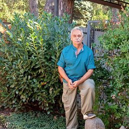 , 60, 