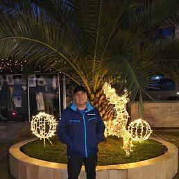 ���������, ���������, 56 ���