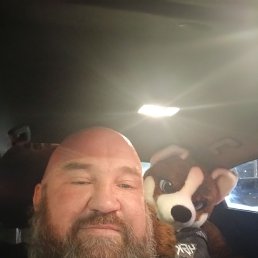 �������, 44 ����, ���������