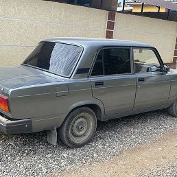 ������, ������, 33 ����