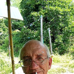 ��������, 56 ���, �������