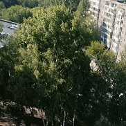 ������, 26 ���, ��������