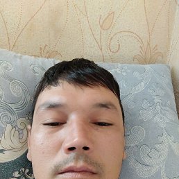 , 33, 